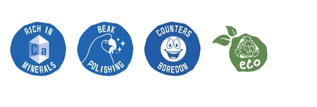 Sepia Calciumschaal Wit - 3 Stuks, 11cm - Duvo+