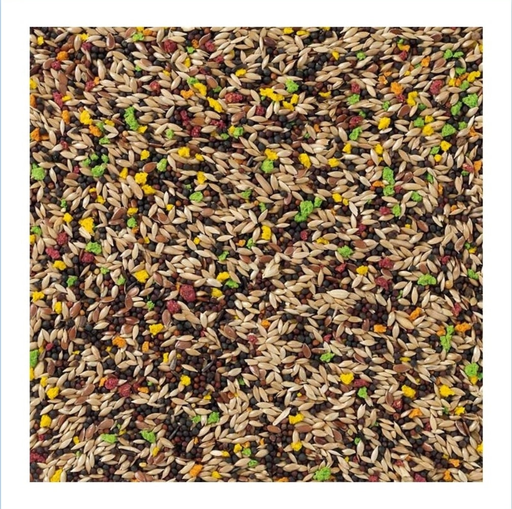 Kanarie Met Fruit 20kg Bird-X