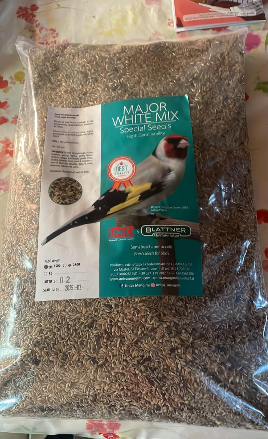 Major White Mix 1.5kg - Speciale Zaden - Hoge Kiemkracht - Unica & Blattner