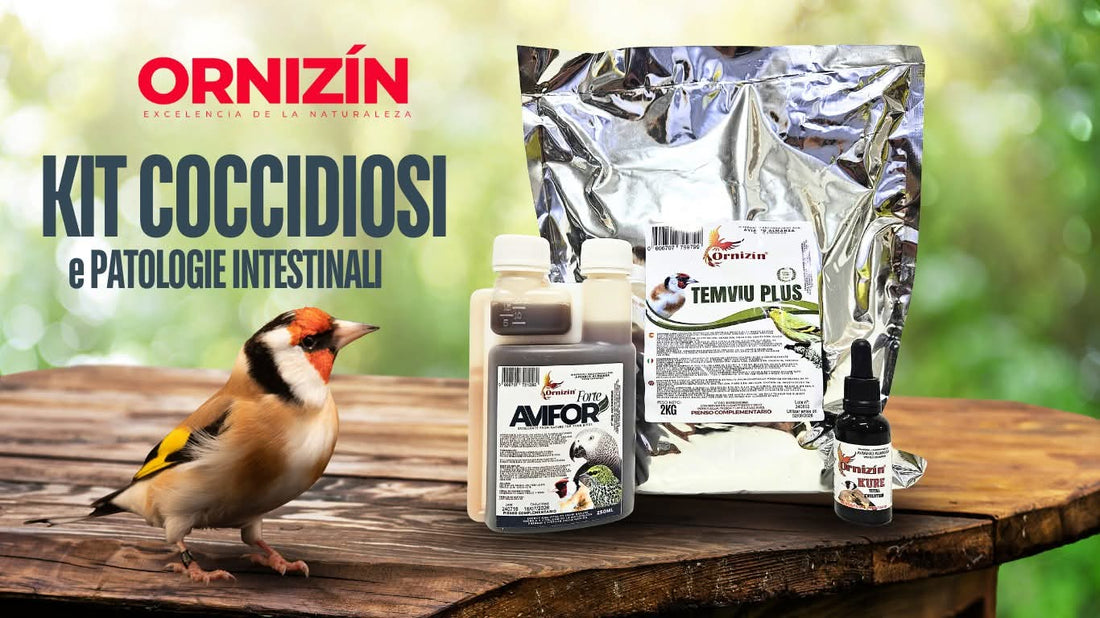 Kit voor behandeling en preventie COCCIDIOSE