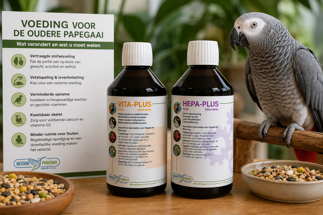 Voeding voor de oudere papegaai: wat verandert en wat u moet weten