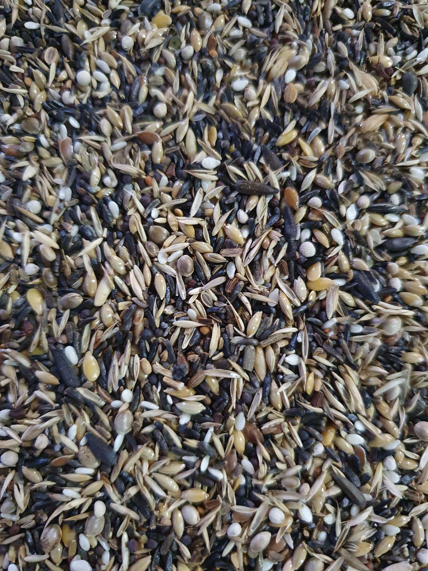 Distelvinken extra 15kg ( 20% BLATTNER zaden ) - Versele Laga