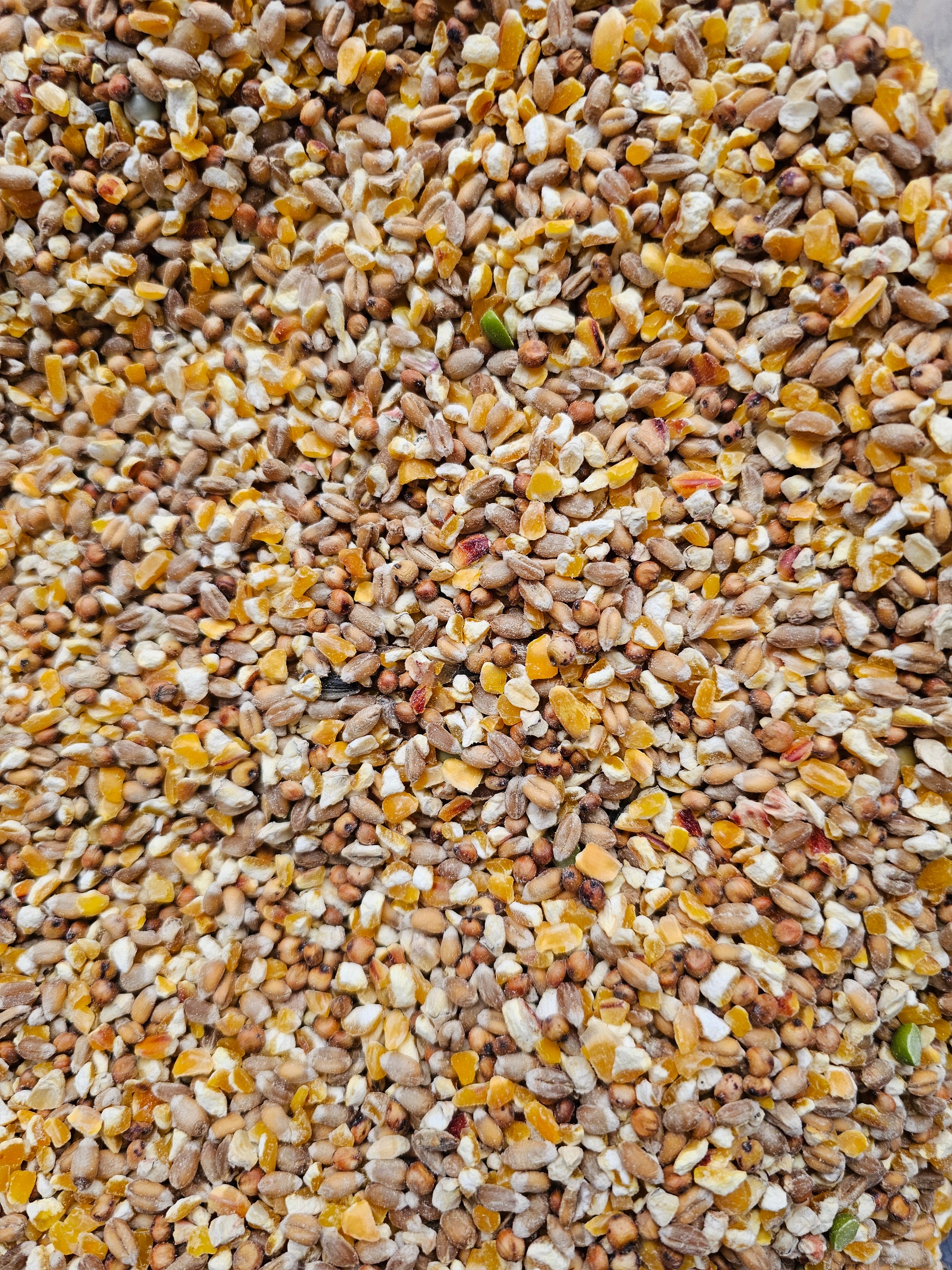 Mangime Per Pollame, Mangime Per Pollo, Grano Foraggio, Per Uccelli - Foto 11