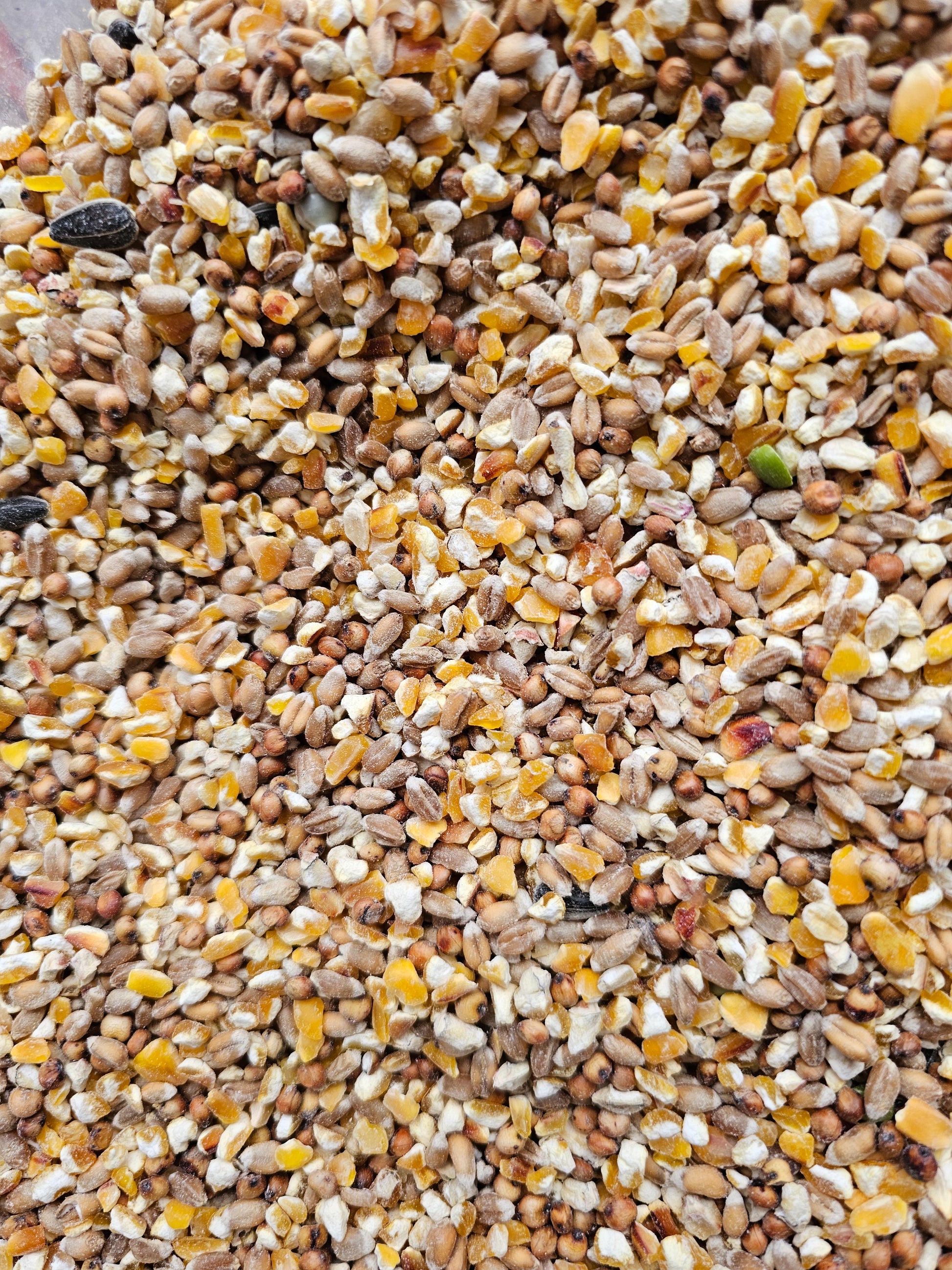 ChickenGold - Mangime Per Galline Ovaiole, 25 Kg, Senza Ingegneria Genetica, Per Galline Ovaiole - Foto 6