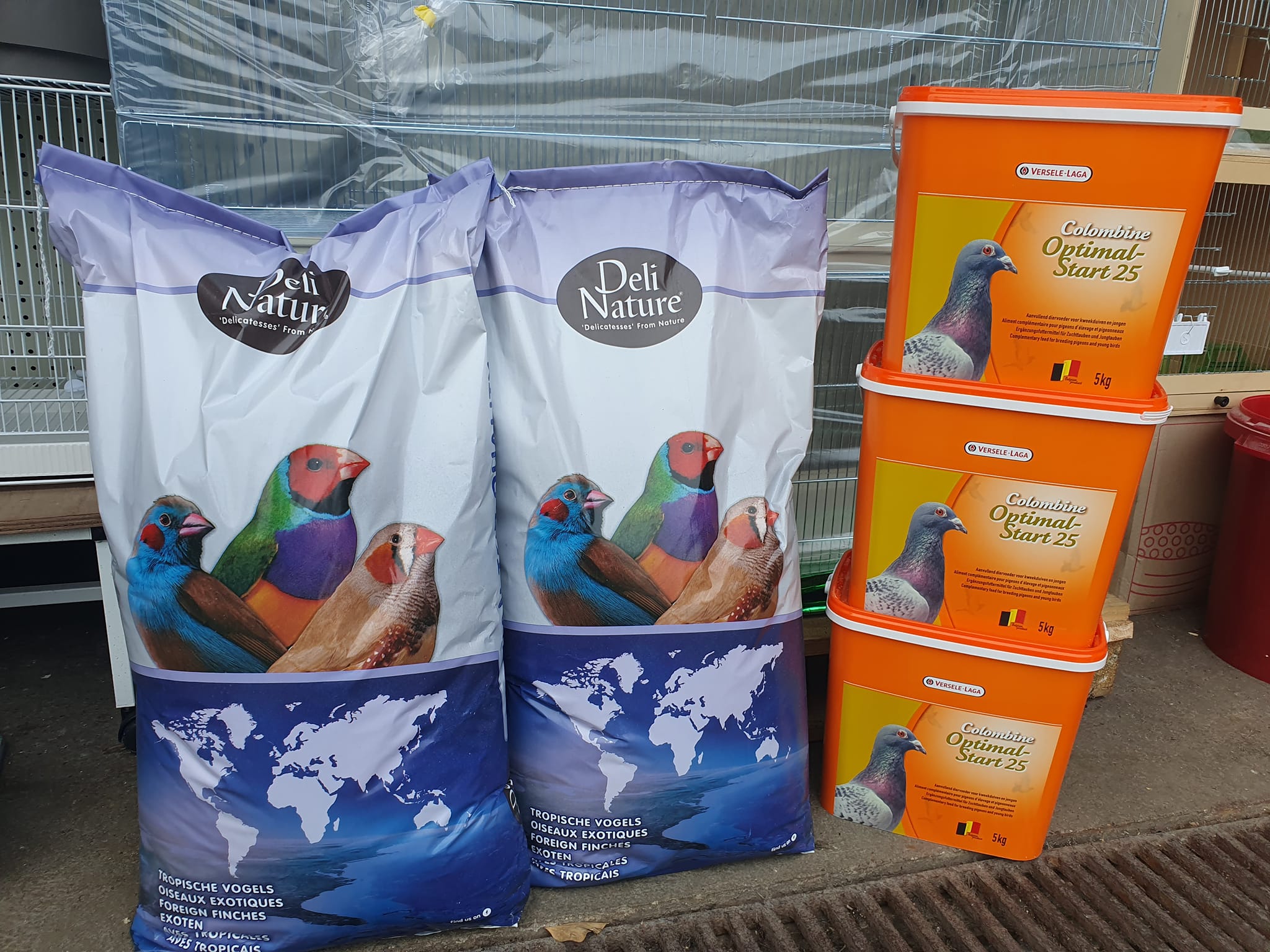 Versele-Laga Exotic Fruit Mix  Buy Bird Treats Online – Canine & Co