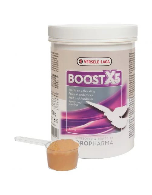 Boostx5 - Kracht en Uithouding - 500 Gram - Duivensupplement