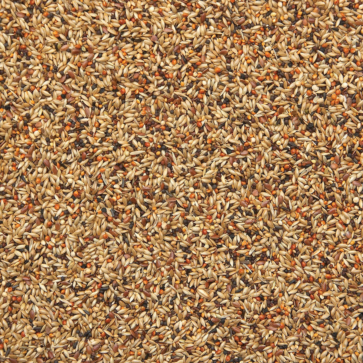 Vinken Sport 20kg 481 Excellent - Bird Supreme