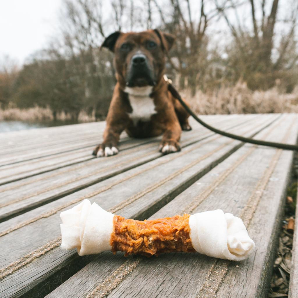 Duvo+ meat! chicken & rawhide large bones ( 1 stuk ) L