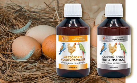 Oplossing tegen legnood - Mezzoforte + Calcium Boost - Vita Vogel