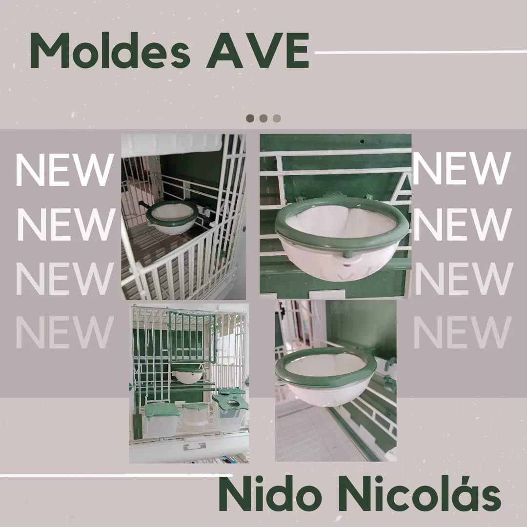 Nest Nicolas - Met Verwijderbare Groene Ring - Moldes Ave