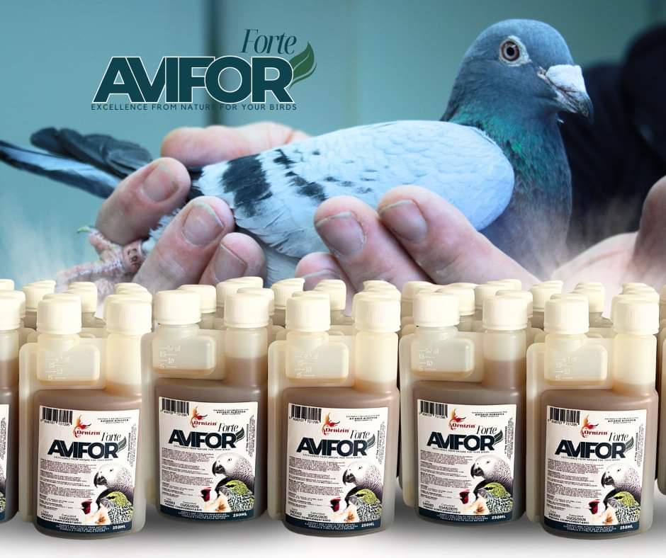 Avifor Forte 250ml - Voor Alle Vogels - Goed Voor 250L Water - Nieuwe Protector