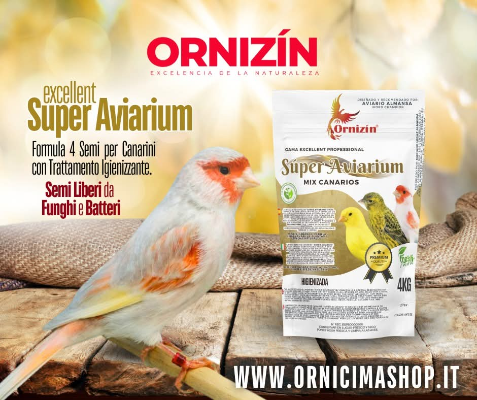 Mix 4 semi Canarini Super Aviarium 4kg Ornizìn