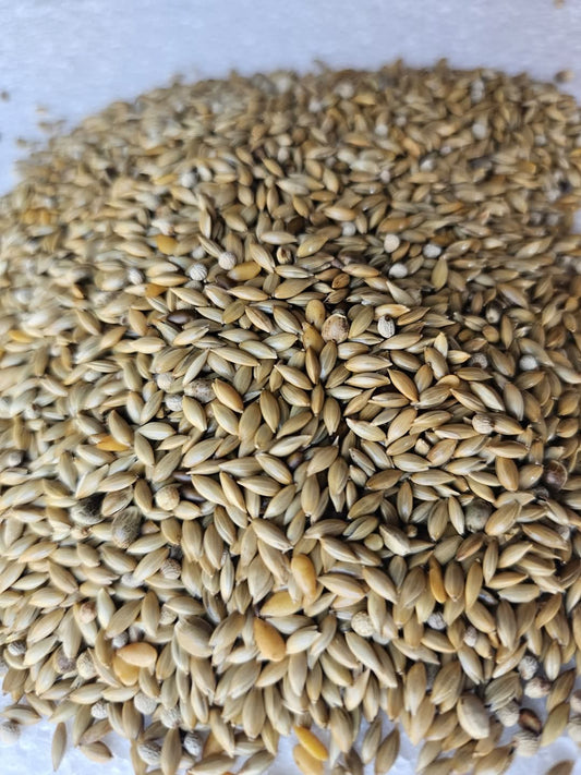 Excellent SUPER AVIARIUM Mix Canari Light Seed 1kg Ornizìn