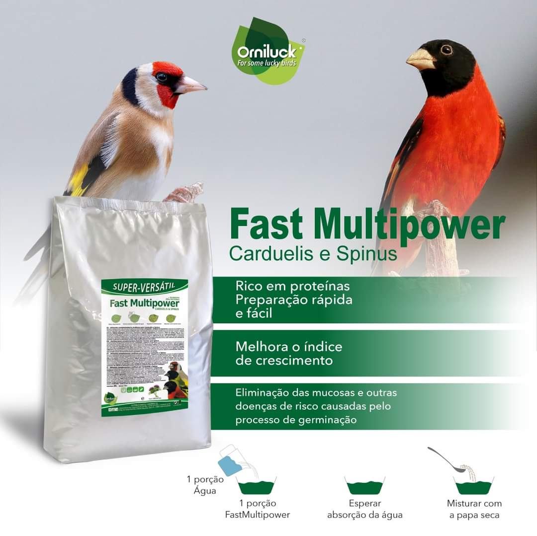 Fast Multipower Carduelis & Spinus ( Met Libido Booster ) 500 gram - OrniLuck