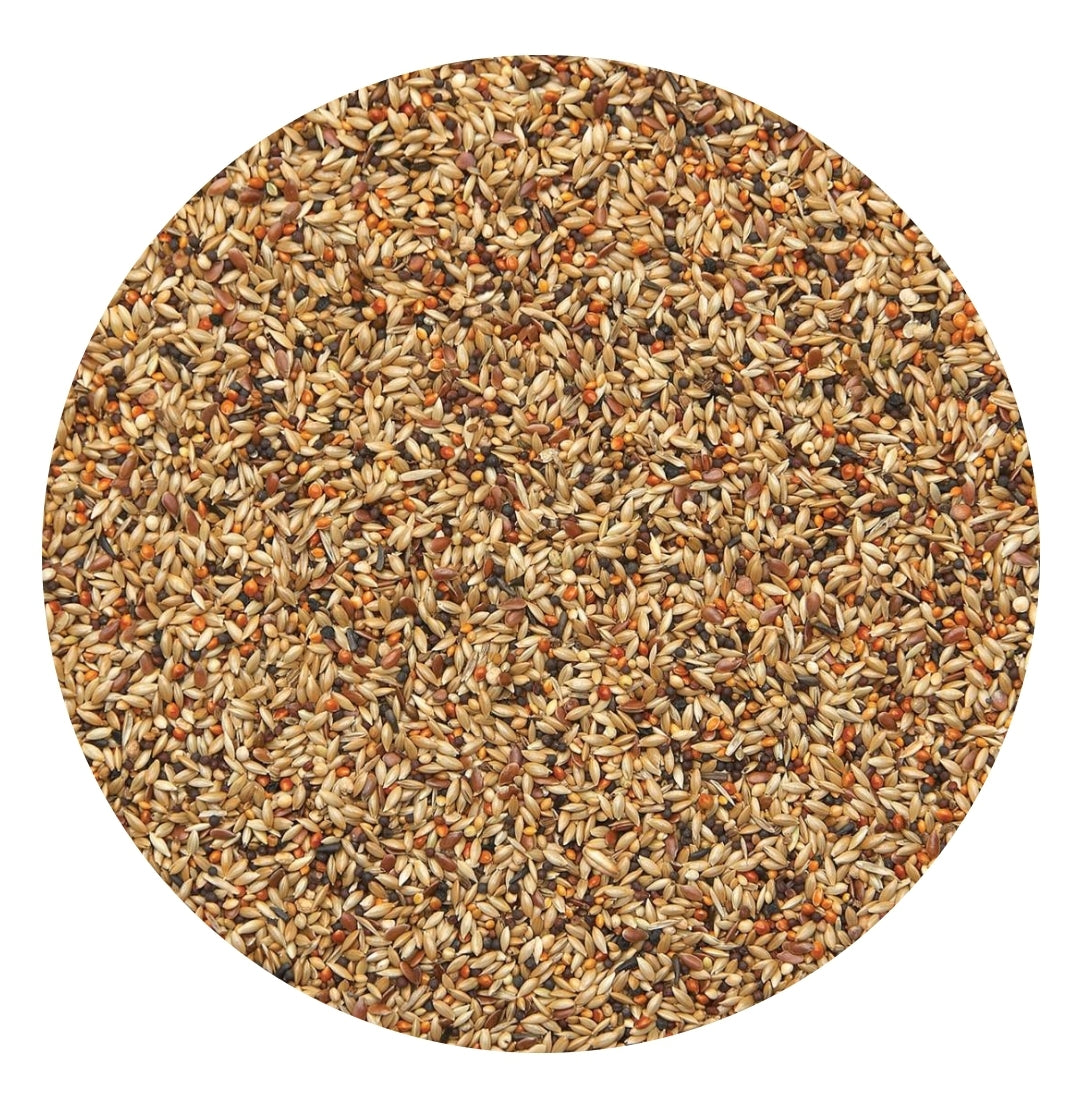 Vinken Sport 20kg 481 Excellent - Bird Supreme