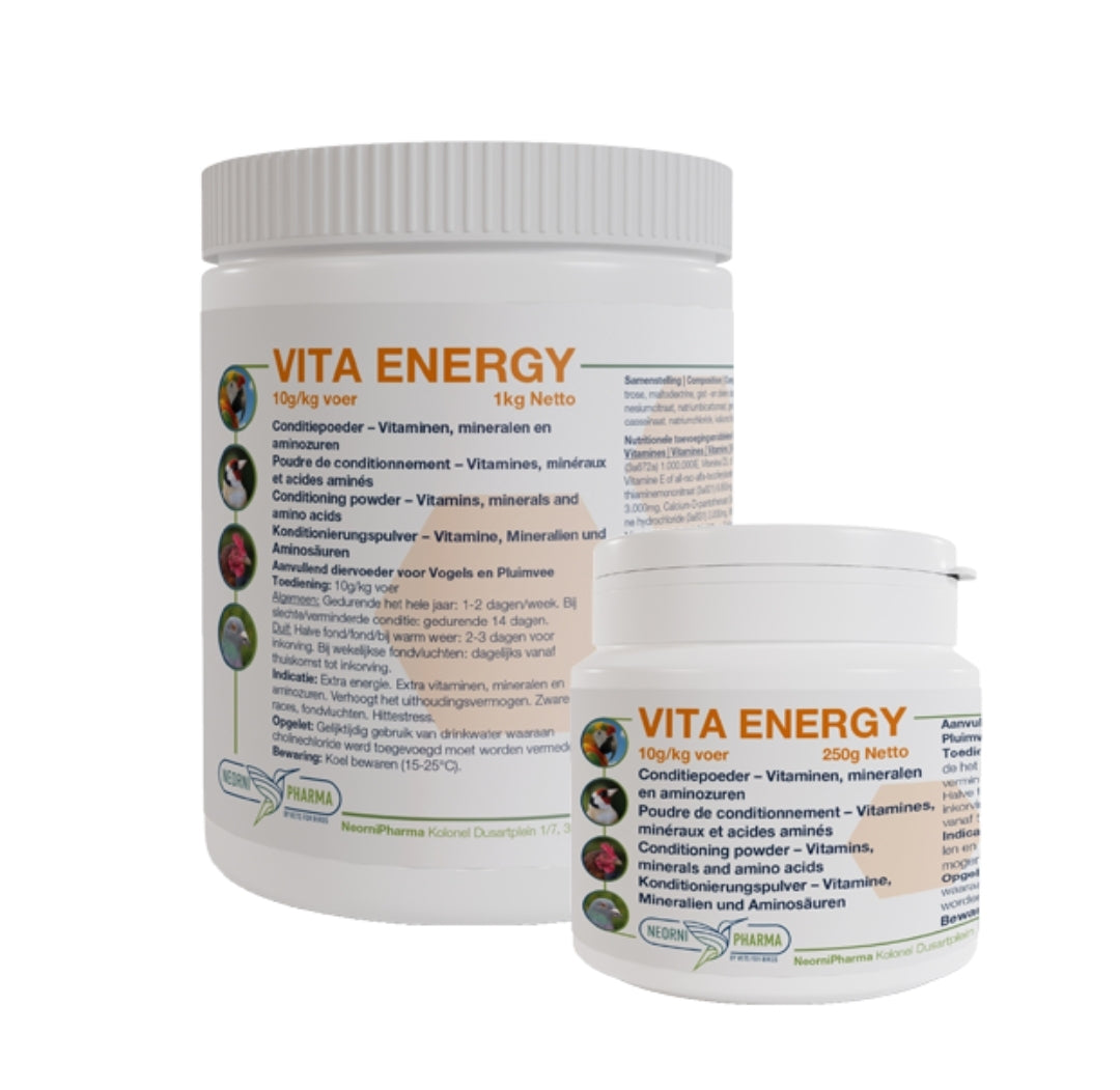 Vita Energy 250 Gram - Neornipharma