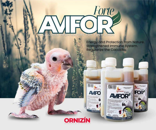 Ultimate Parrot Booster 250ml ( Avifor Forte ) - Ornizin