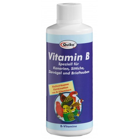 Vitamine B Liquid 100ml - Quiko