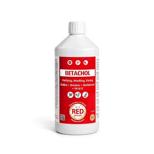 Betachol (rode kleur met B-vitamines, lever, verenkleed) 1L - Red Animals