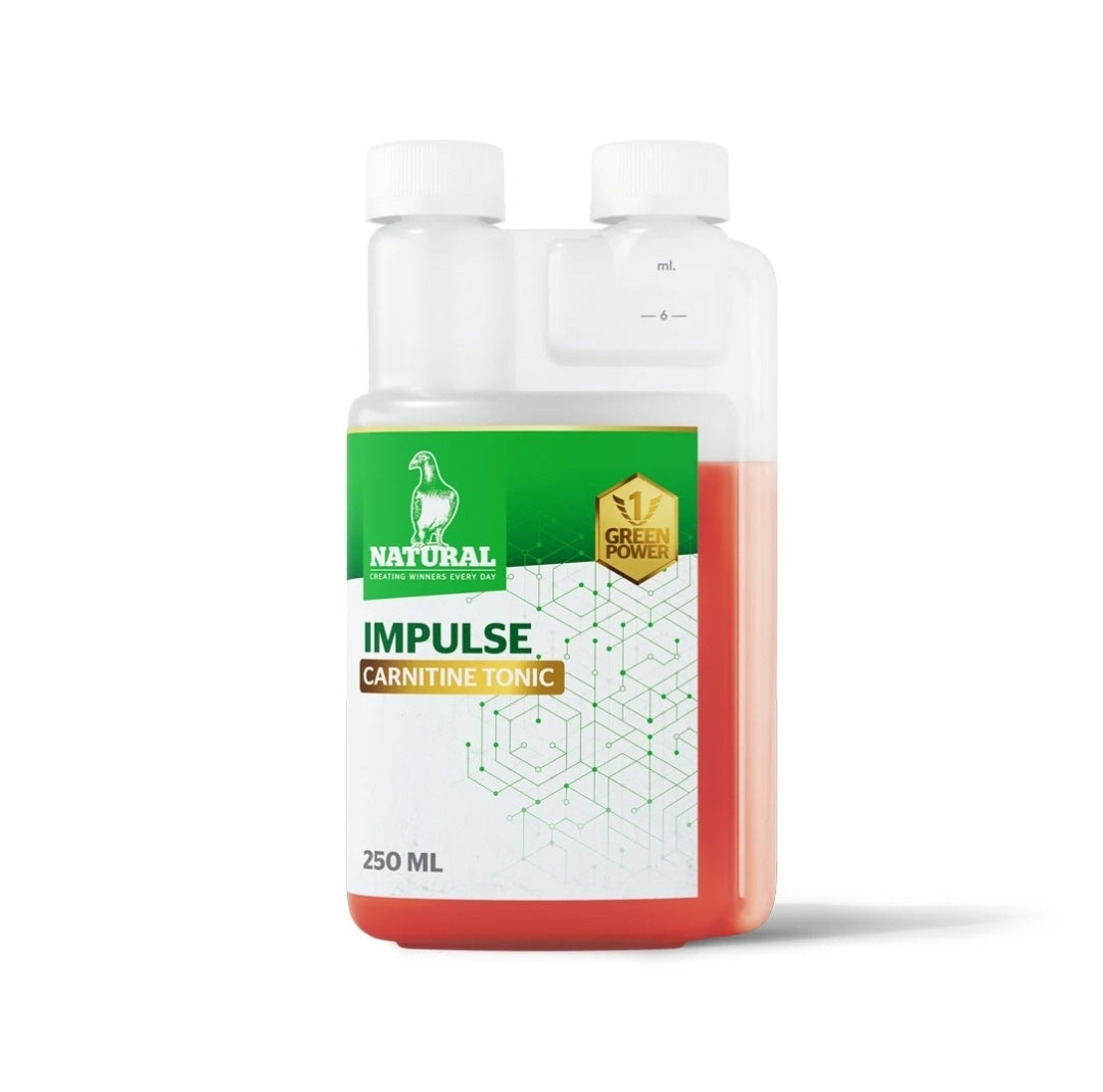 Green Power, "Impulse Carnitine Tonic" 250ml, Natural