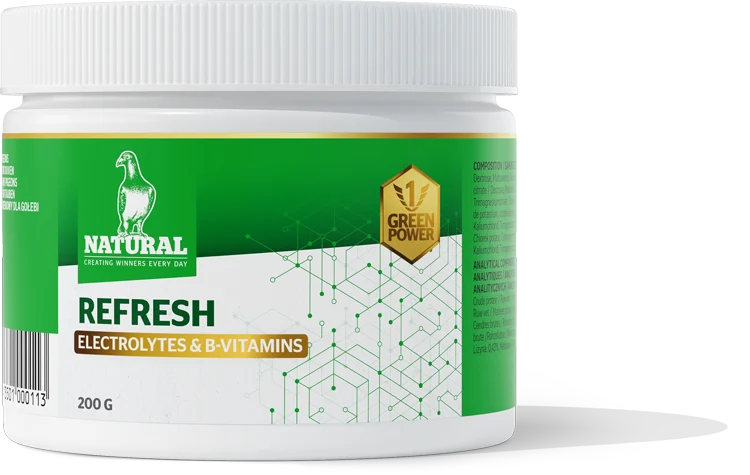 Green Power, Refresh "Electrolytes & B-vitamines" 200 Gram, Natural