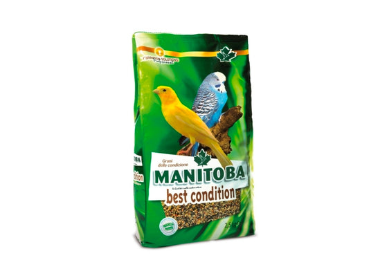 Manitoba Conditiezaad 2.5 kg