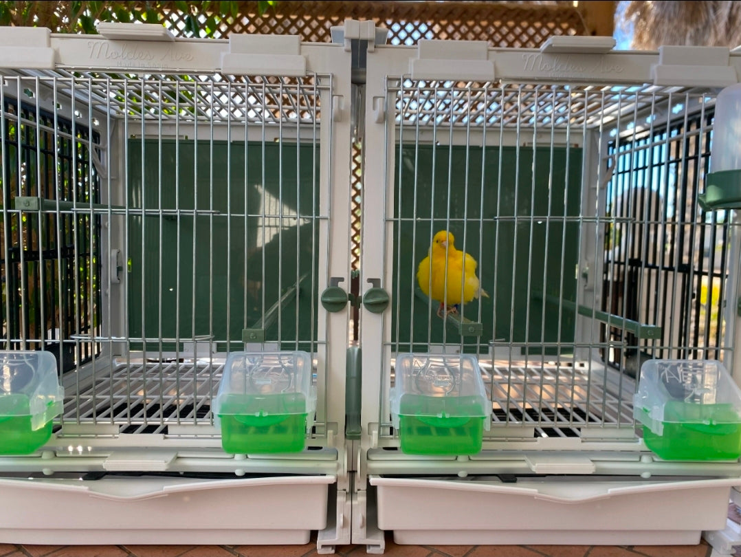 Model SG2, kooimodule 70cm - MA Kooi Moldes Ave