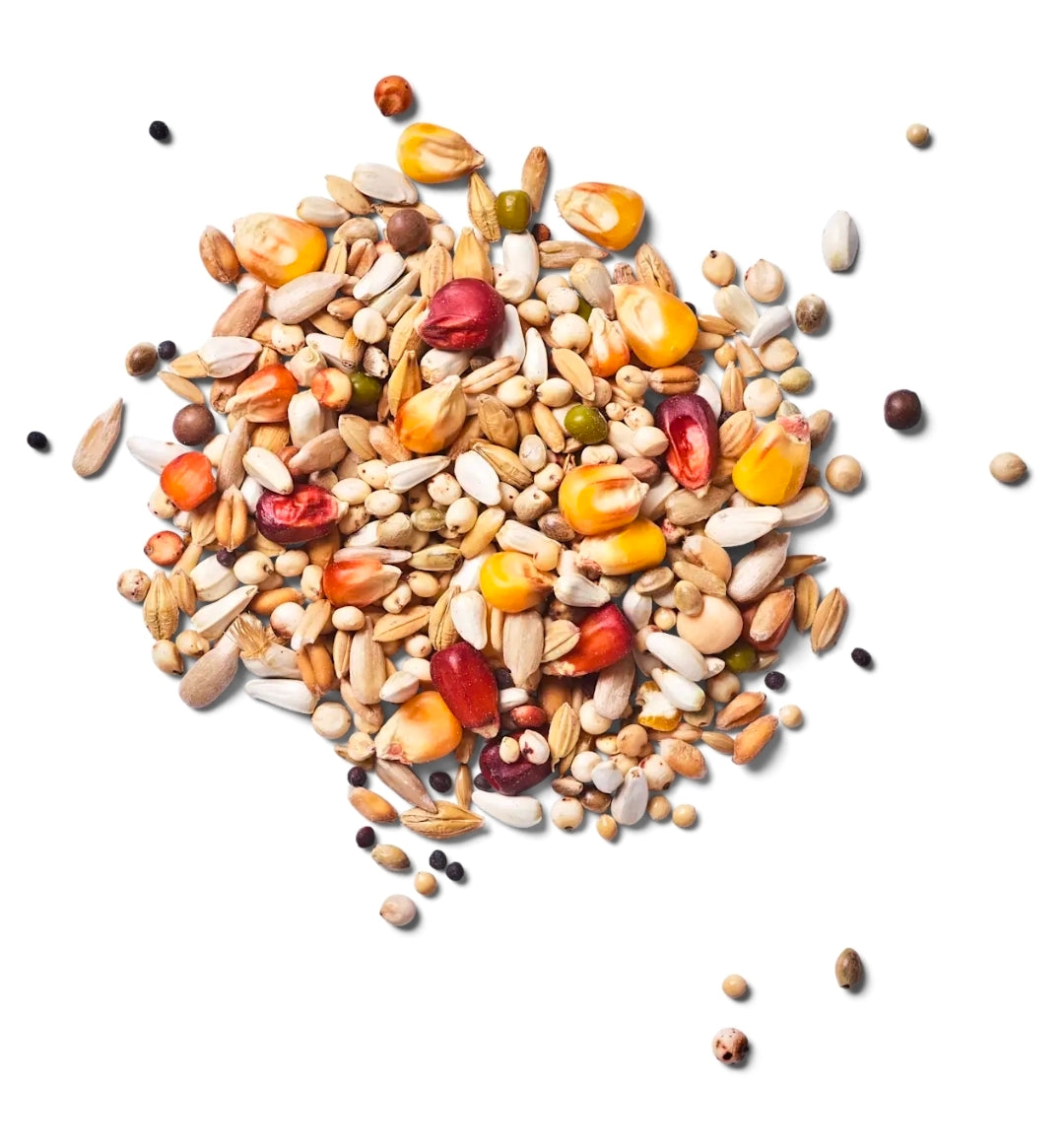 Green Power Flex 20kg Natural