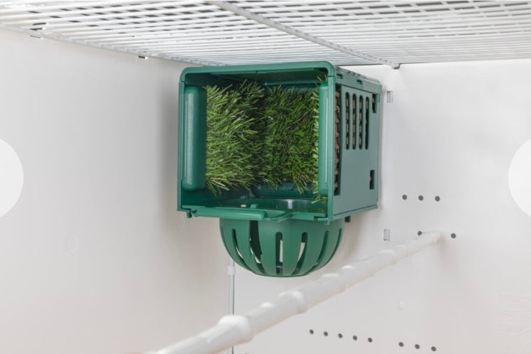 Dream Nestkastje Groen STA