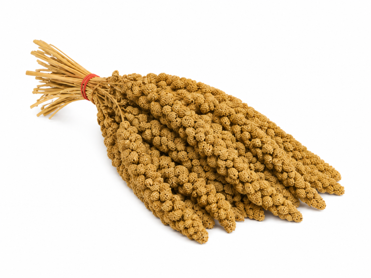Trosgierst Geel China Doos 15kg