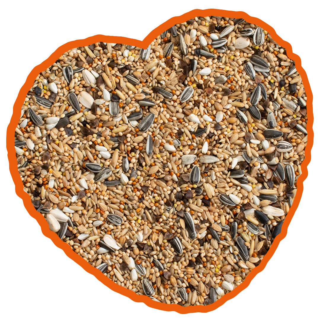 Grote Parkieten Mix Duvo+ 20kg