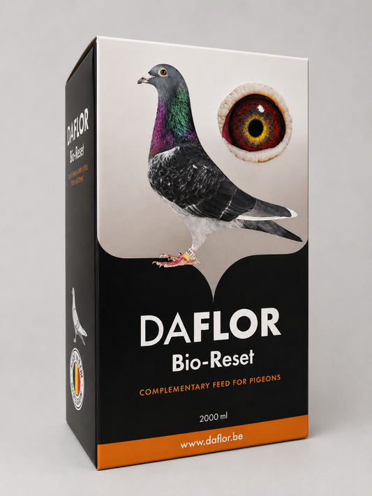 Daflor Bio Reset 2000ml