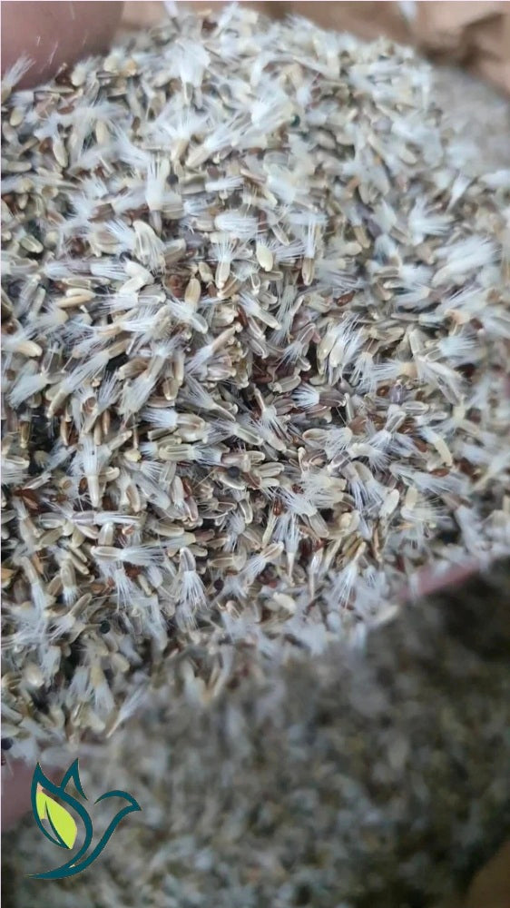 Kleine distel & Cichorei Premium Blend (1kg) - Herb Bird Mix