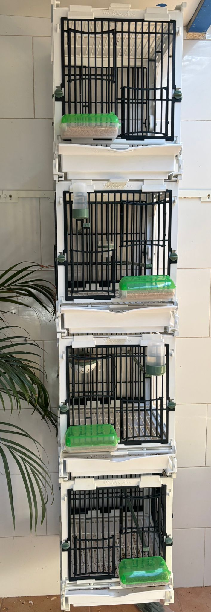 Model SG1, kooimodule - MA Kooi - Moldes Ave