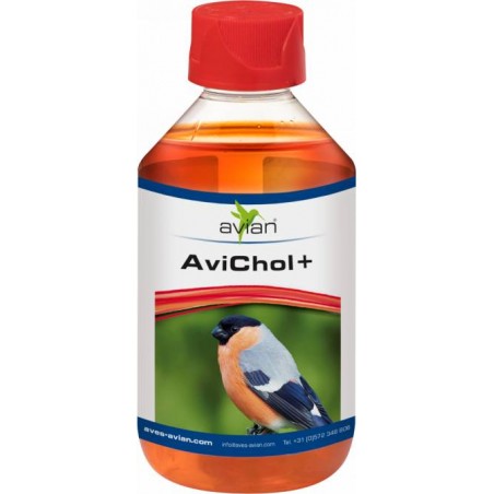 Avian AviChol + 250ml ( Lever + Groei )