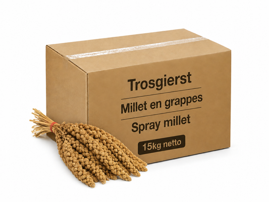 Trosgierst Geel China Doos 15kg