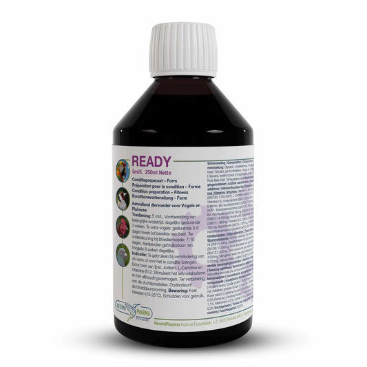 Ready 250ml ( Extra Energie Boost, Vit B12, L-Carnitine ) - Neornipharma