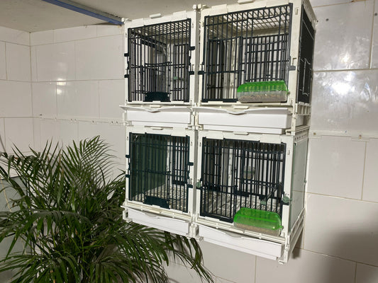 Model SG1, kooimodule - MA Kooi - Moldes Ave