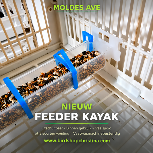 Feeder Kayak - Moldes Ave