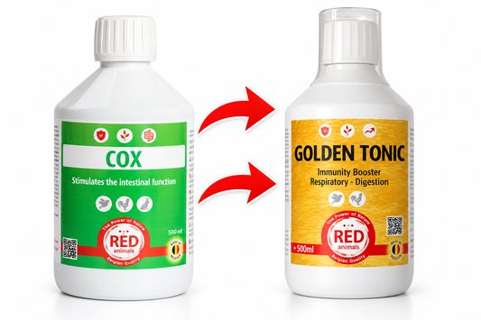 - VERVANGEN DOOR GOLDEN TONIC - Cox (Darmgezondheid) 500ml - Red Animals