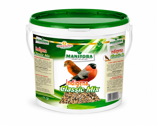 Manitoba Goudvinken ( Indigena ) 5kg - 20 Verschillende Zaden