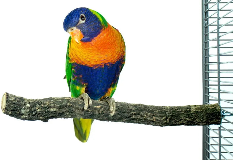 Kurk Zitstok M ± Ø4 - 30cm - Back Zoo Nature