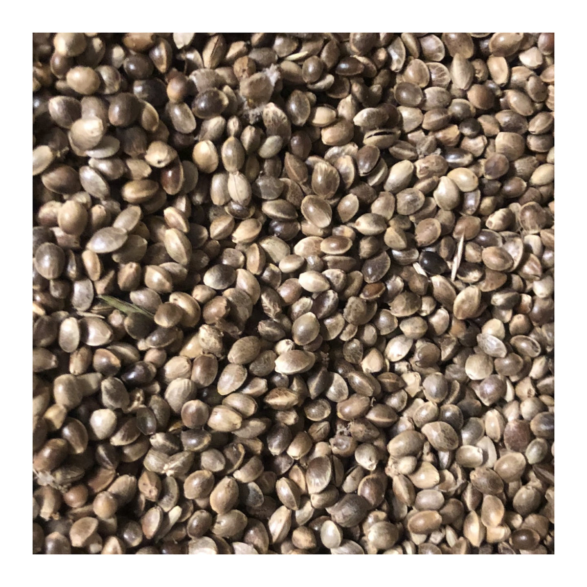 Deli Nature Hennep ( kempzaad ) middensoort 20 kg