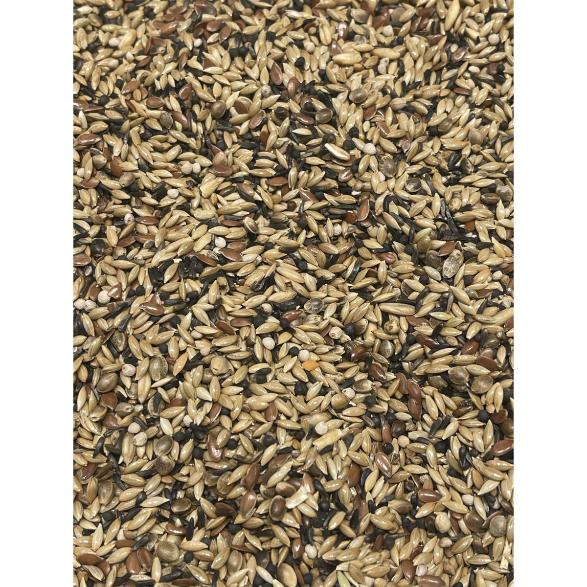 Postuur Kanarie Excellent René Alssema 20kg Bird Supreme