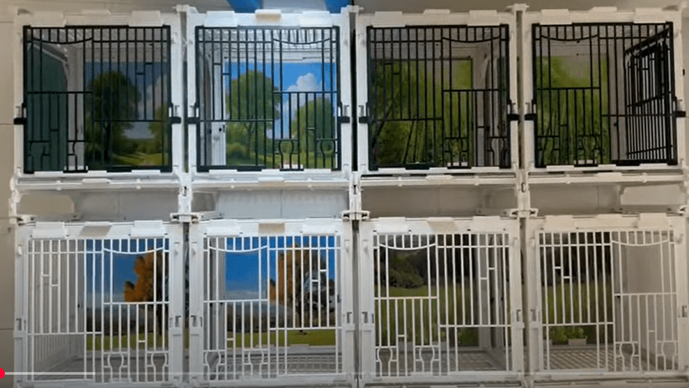 Frontale MA-kooi met dubbele deur en voerbakken