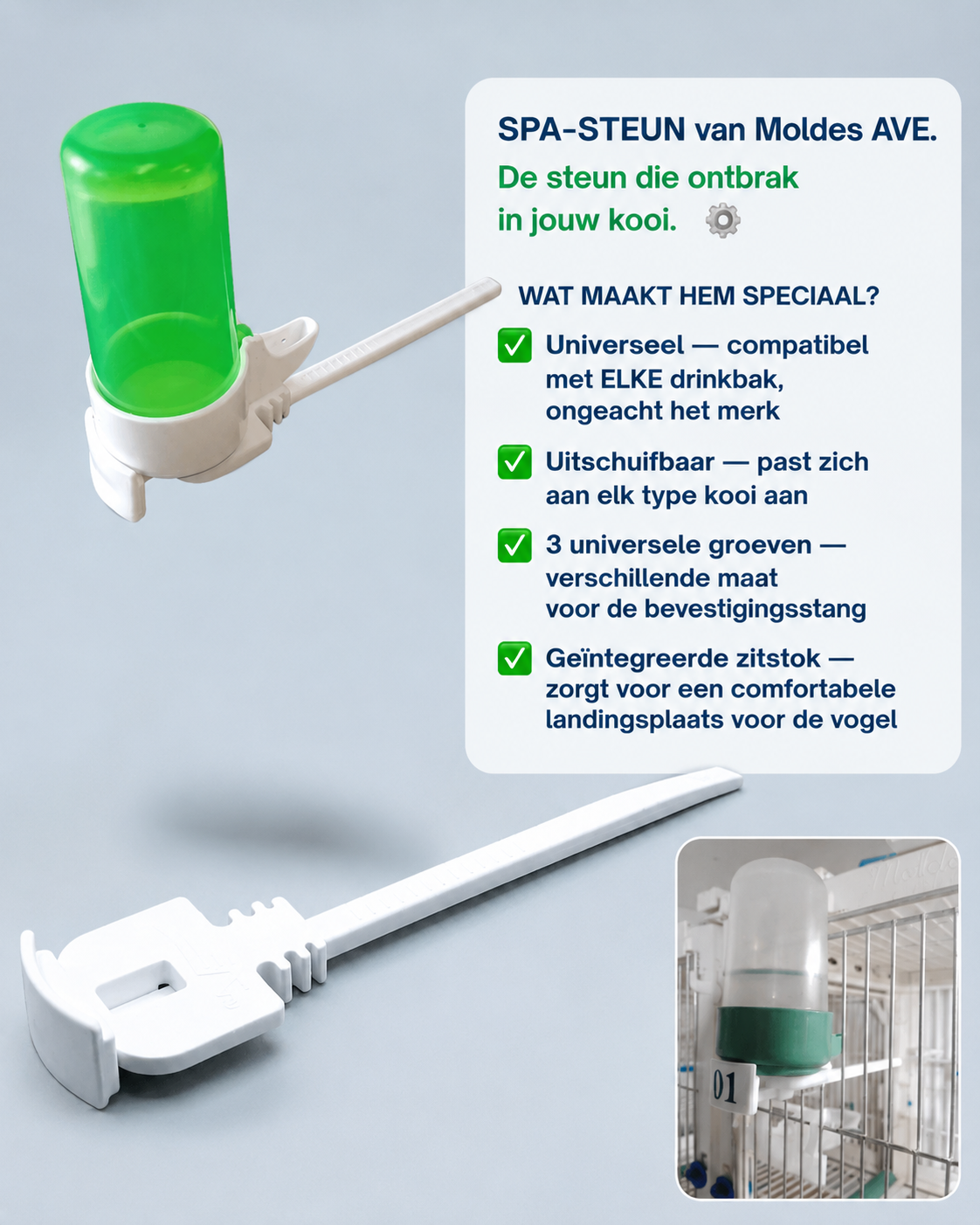 SPA Fontein Ondersteuning / Zitstok - Moldes Ave