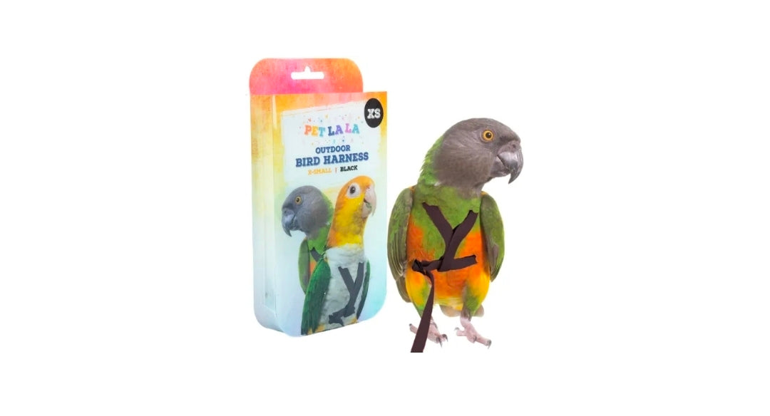 Vogelharnas XL Zwart PL2186 Petlala