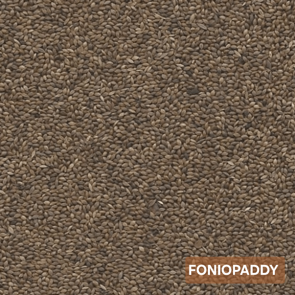 Foniopaddy 1kg GoldBird ( zelf verpakt )