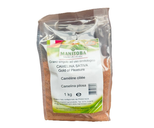 Gold of pleasure (huttentut) 1kg - Manitoba