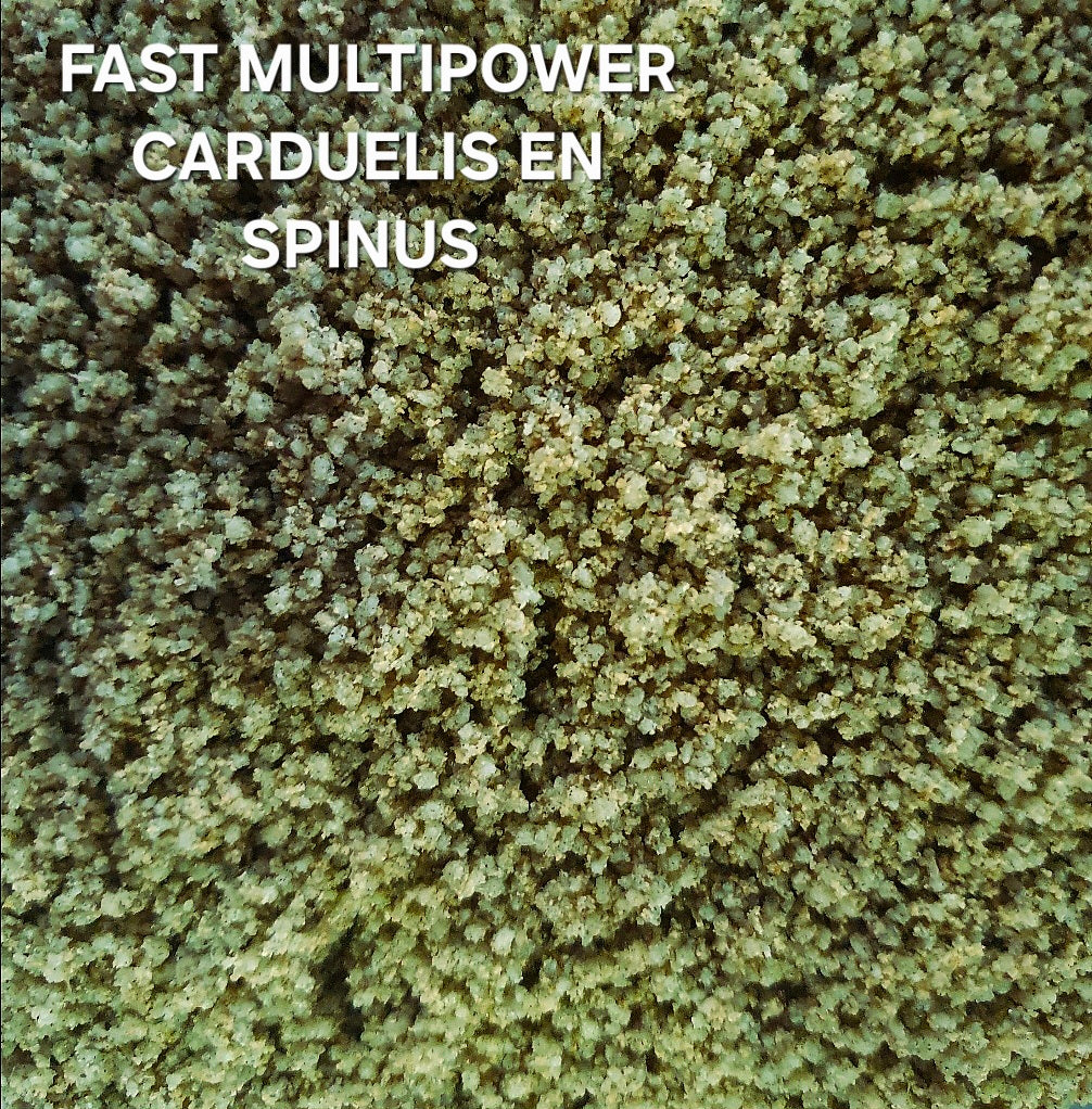 Fast Multipower Carduelis & Spinus 4kg - OrniLuck - Green Eggfood